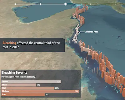 An interactive map visualization of major coral bleaching events.